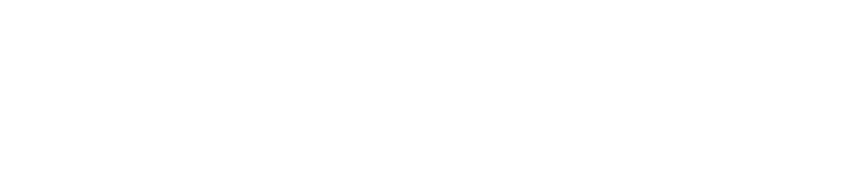 iNpersn logo